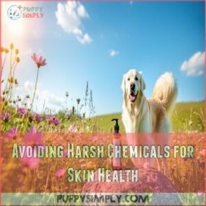 Avoiding Harsh Chemicals for Skin Health