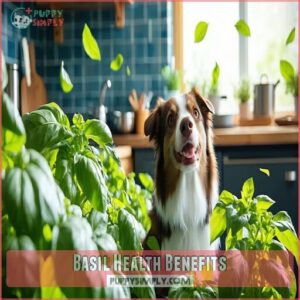 Basil Health Benefits