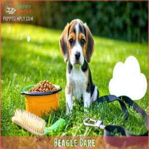 Beagle Care