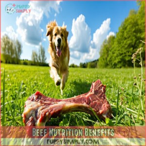 Beef Nutrition Benefits