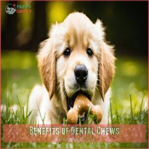 Benefits of Dental Chews