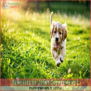 Benefits of Joint Supplements