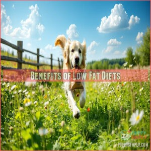 Benefits of Low Fat Diets