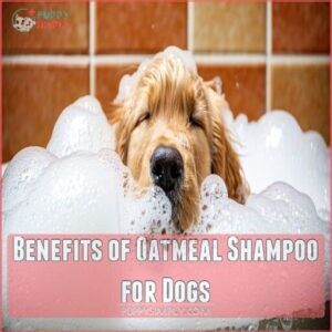 Benefits of Oatmeal Shampoo for Dogs