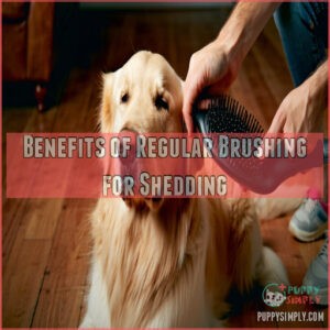 Benefits of Regular Brushing for Shedding