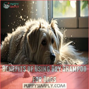 Benefits of Using Dry Shampoo for Dogs