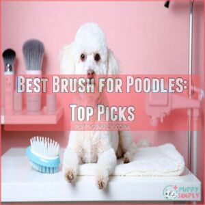 best brush for poodles