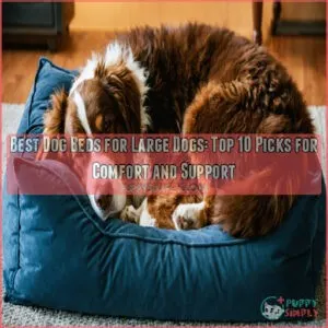 best dog beds for large dogs