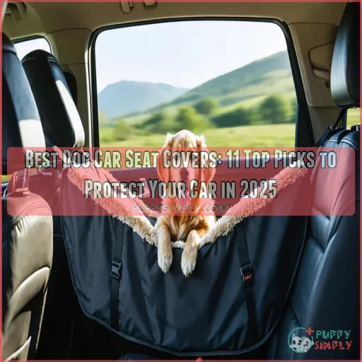 best dog car seat covers