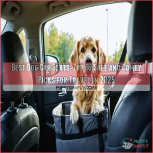 best dog car seats