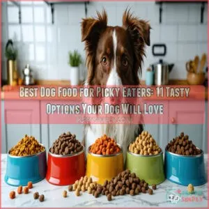 best dog food for picky eaters