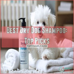 best dry dog shampoo