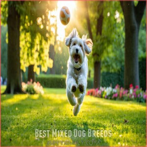 Best Mixed Dog Breeds