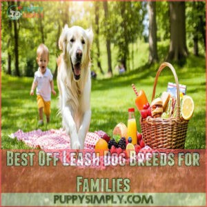 Best Off Leash Dog Breeds for Families