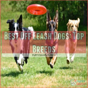 best off leash dogs