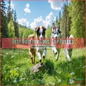 best outdoor dogs