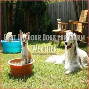 Best Outdoor Dogs for Warm Weather