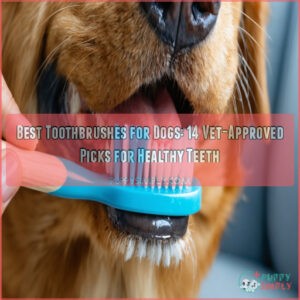 best toothbrushes for dogs