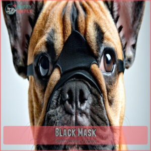 Black Mask