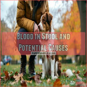 Blood in Stool and Potential Causes