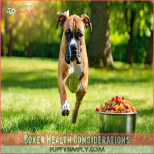 Boxer Health Considerations