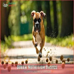 Boxer Nutrition Basics