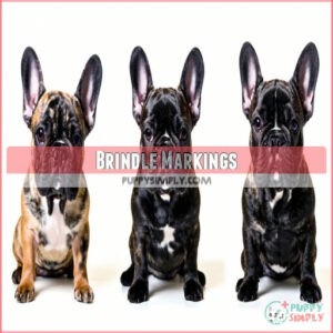 Brindle Markings