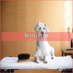 Bristle Brush