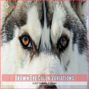 Brown Eye Color Variations