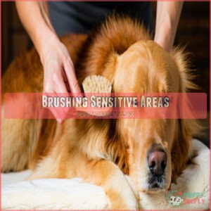 Brushing Sensitive Areas