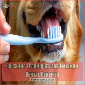 Brushing Techniques for Maximum Dental Benefits