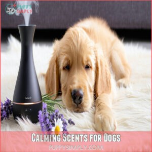 Calming Scents for Dogs