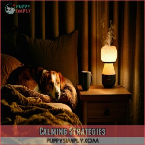 Calming Strategies