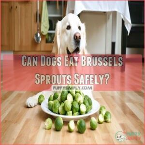 can dogs eat brussel sprouts