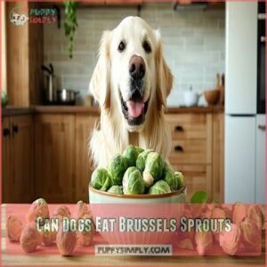 Can Dogs Eat Brussels Sprouts