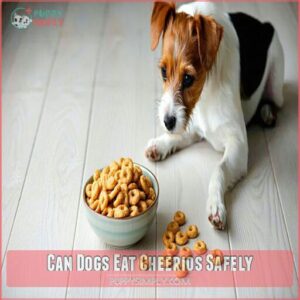 Can Dogs Eat Cheerios Safely