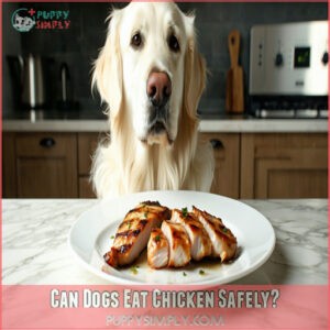 Can Dogs Eat Chicken Safely