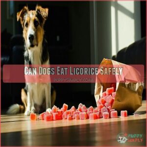 Can Dogs Eat Licorice Safely