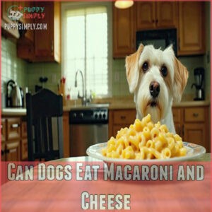 Can Dogs Eat Macaroni and Cheese