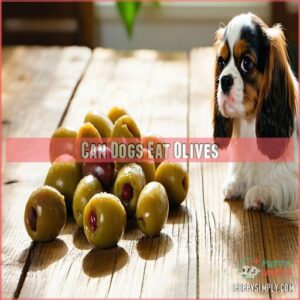 can dogs eat olives