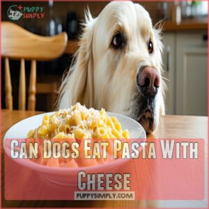 Can Dogs Eat Pasta With Cheese