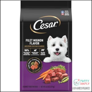 CESAR Adult Small Breed Dry