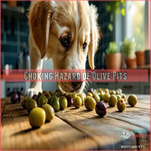 Choking Hazard of Olive Pits