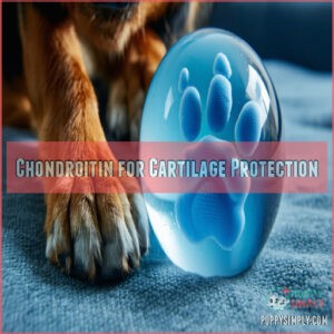 Chondroitin for Cartilage Protection