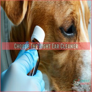 Choose The Right Ear Cleaner