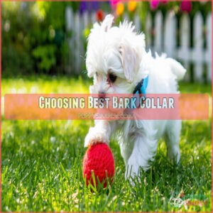 Choosing Best Bark Collar