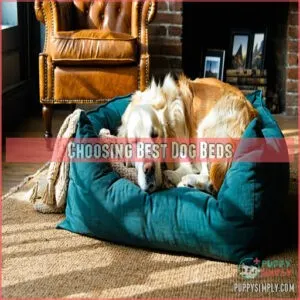 Choosing Best Dog Beds