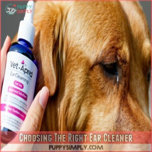 Choosing The Right Ear Cleaner