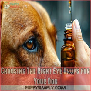 Choosing The Right Eye Drops for Your Dog