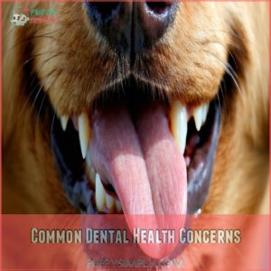 Common Dental Health Concerns